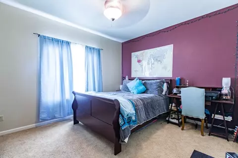 580 Celestite Dr, Fruita, CO 81521 photo 13