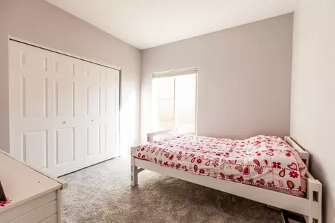 587 Celestite Dr, Fruita, CO 81521 photo 17