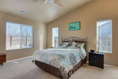 921 Celestite Dr, Fruita, CO 81521 photo 14