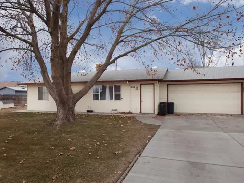 605 S Pine St, Fruita, CO 81521 photo 9