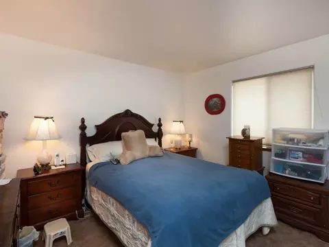 605 S Pine St, Fruita, CO 81521 photo 13