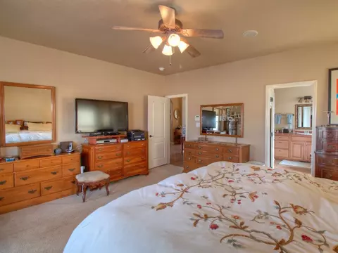315 Belden Ct, Fruita, CO 81521 photo 16