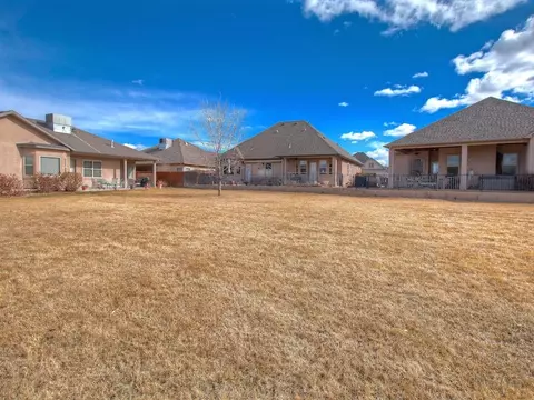 315 Belden Ct, Fruita, CO 81521 photo 29