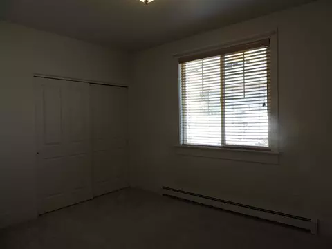 1108 Buttercup Ln, Fruita, CO 81521 photo 9
