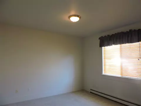 1108 Buttercup Ln, Fruita, CO 81521 photo 10