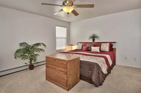 123 Sierra Dr, Fruita, CO 81521 photo 13