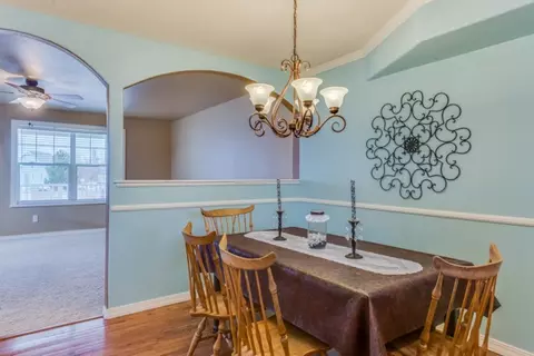 1132 Windsor Park Dr, Fruita, CO 81521 photo 9