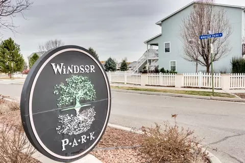 1132 Windsor Park Dr, Fruita, CO 81521 photo 28
