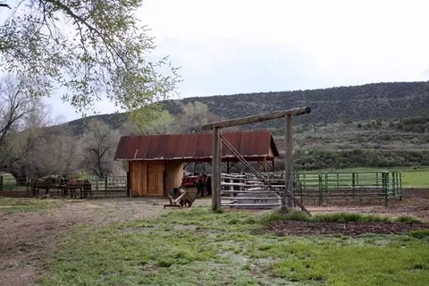 4657 W Rd, De Beque, CO 81630 photo 29