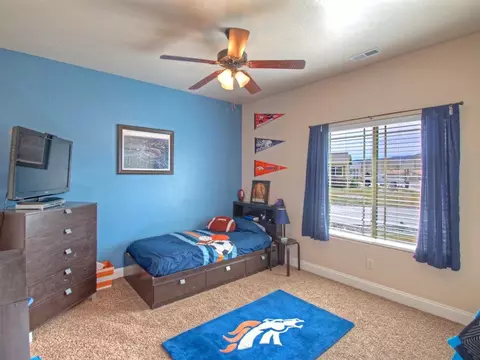 242 Javan Ct, Fruita, CO 81521 photo 14