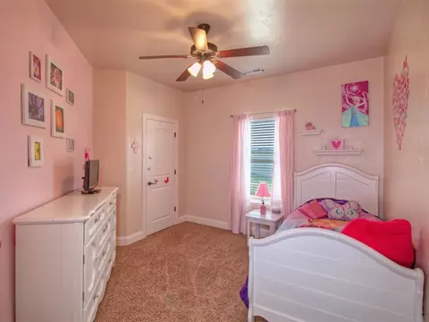 242 Javan Ct, Fruita, CO 81521 photo 15