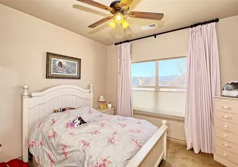 1012 Wingate Dr, Fruita, CO 81521 photo 29