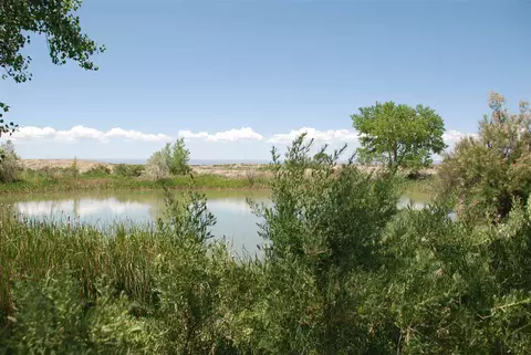3753 2175 Rd, Delta, CO 81416 photo 20