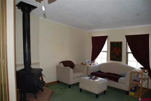21262 Morris Rd, Eckert, CO 81418 photo 3