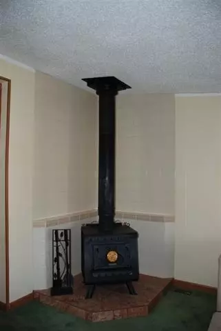 21262 Morris Rd, Eckert, CO 81418 photo 4
