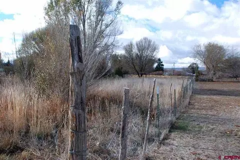 21262 Morris Rd, Eckert, CO 81418 photo 9