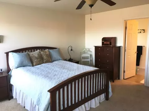 863 Elberta Dr, Fruita, CO 81521 photo 11