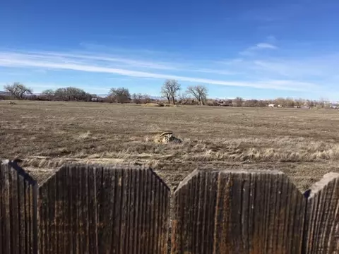 863 Elberta Dr, Fruita, CO 81521 photo 14