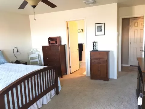 863 Elberta Dr, Fruita, CO 81521 photo 13