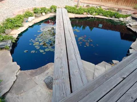 1201 Libra Ct, Fruita, CO 81521 photo 8