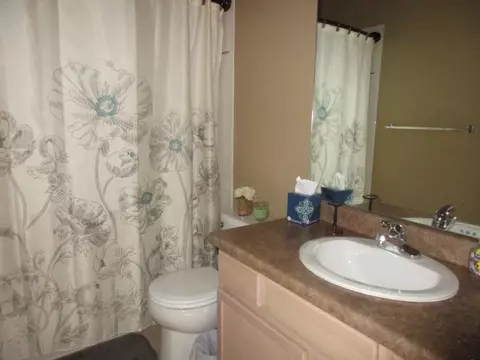 188 Drumlin Cir, Fruita, CO 81521 photo 15