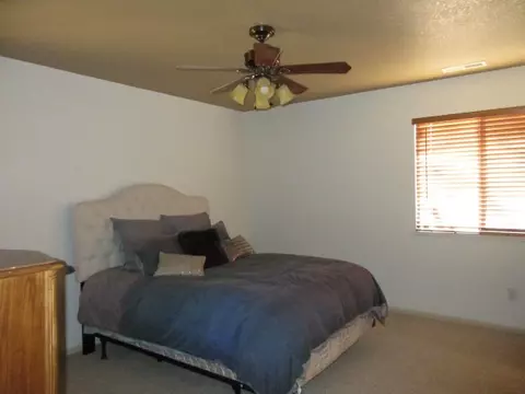 188 Drumlin Cir, Fruita, CO 81521 photo 12