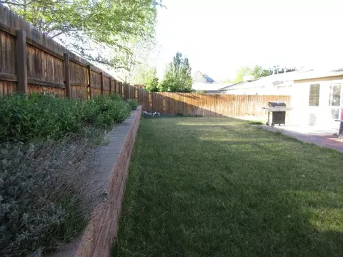188 Drumlin Cir, Fruita, CO 81521 photo 22