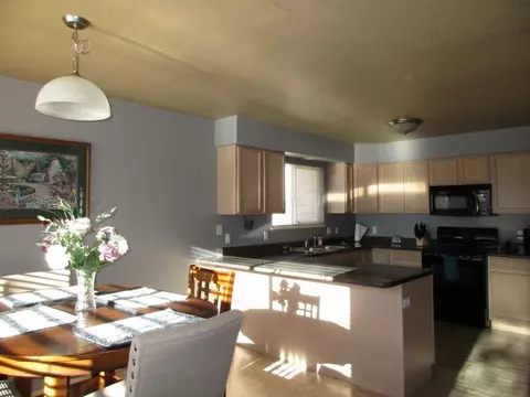 188 Drumlin Cir, Fruita, CO 81521 photo 10