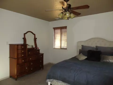 188 Drumlin Cir, Fruita, CO 81521 photo 13