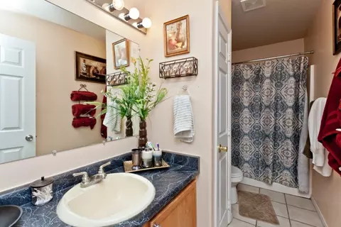 673 Pear Dr, Fruita, CO 81521 photo 18