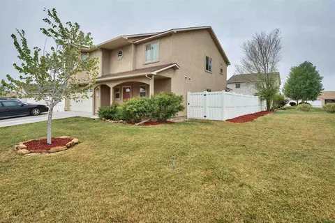 807 Delean Way, Fruita, CO 81521 photo 2