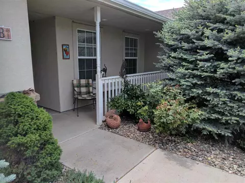 598 Garnet Dr, Fruita, CO 81521 photo 16