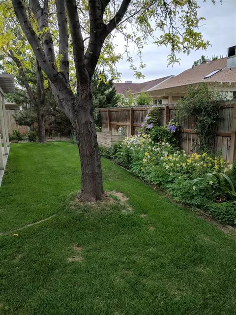 598 Garnet Dr, Fruita, CO 81521 photo 2