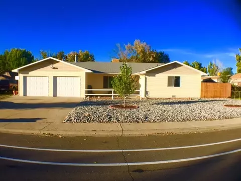 1031 E Pabor Ave, Fruita, CO 81521 photo 1