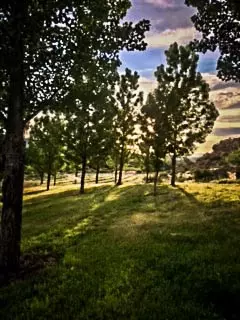 49824 Ke Rd, Mesa, CO 81643 photo 38