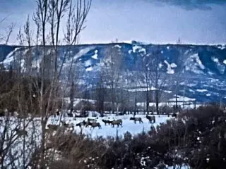 49824 Ke Rd, Mesa, CO 81643 photo 37