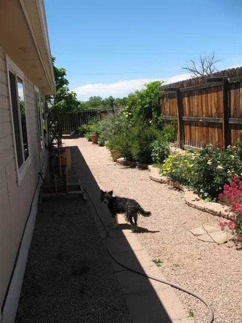 101 Kaley St, Fruita, CO 81521 photo 34