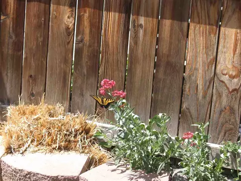 101 Kaley St, Fruita, CO 81521 photo 38