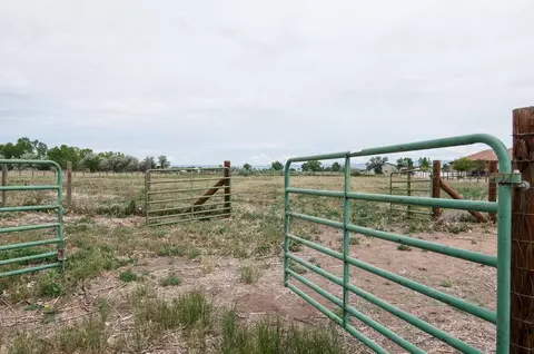 1870 J Rd, Fruita, CO 81521 photo 15