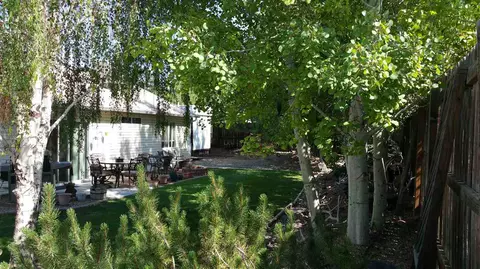 662 Andromeda Way, Fruita, CO 81521 photo 32