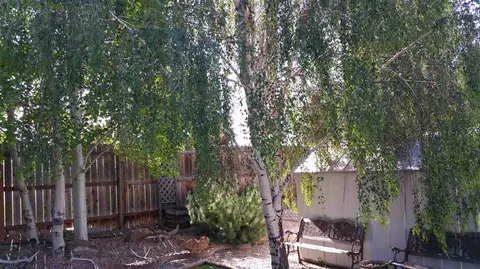 662 Andromeda Way, Fruita, CO 81521 photo 22