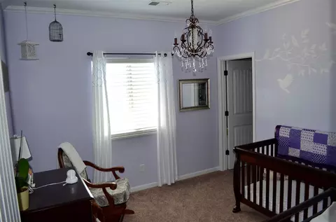 2041 Roma Ave, Fruita, CO 81521 photo 10