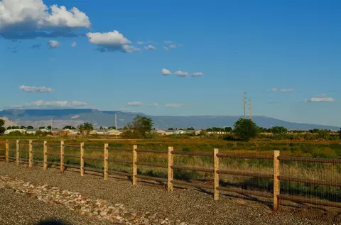 2041 Roma Ave, Fruita, CO 81521 photo 22