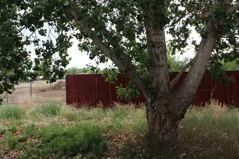 3182 E Rd, Grand Junction, CO 81504 photo 12