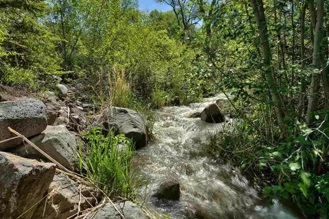 7040 Highway 65, Mesa, CO 81643 photo 42
