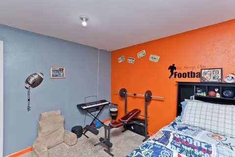 775 Delean Way, Fruita, CO 81521 photo 24
