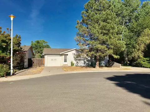 456 12 Forelle Ct, Clifton, CO 81520 photo 1