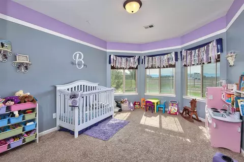 1171 Toscano Rd, Fruita, CO 81521 photo 30