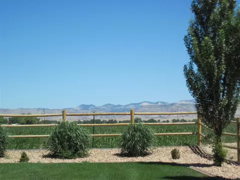 1171 Toscano Rd, Fruita, CO 81521 photo 7