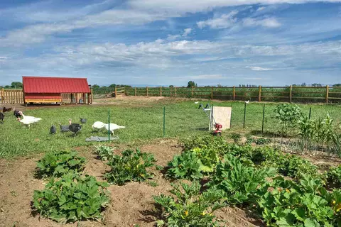 1171 Toscano Rd, Fruita, CO 81521 photo 9